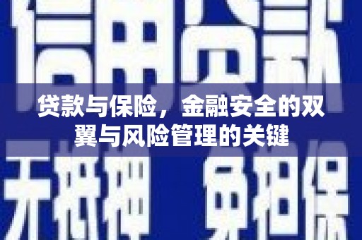 云南贷款与保险，金融安全的双翼与风险管理的关键