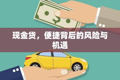 云南现金贷，便捷背后的风险与机遇