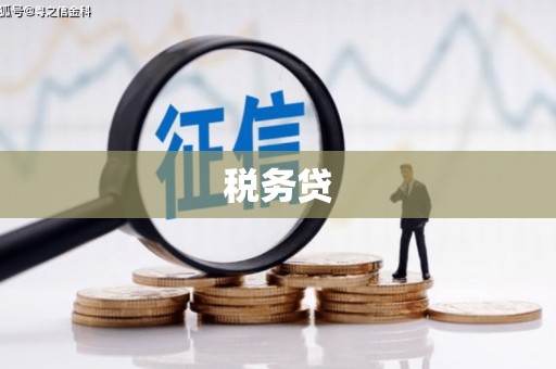 云南税务贷