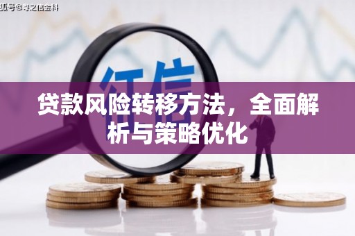 云南贷款风险转移方法，全面解析与策略优化