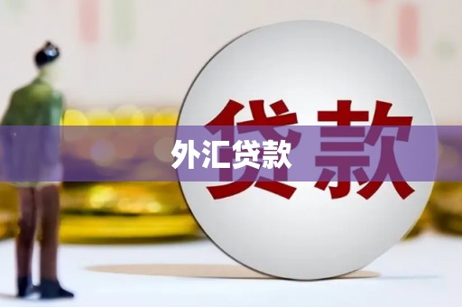 云南外汇贷款