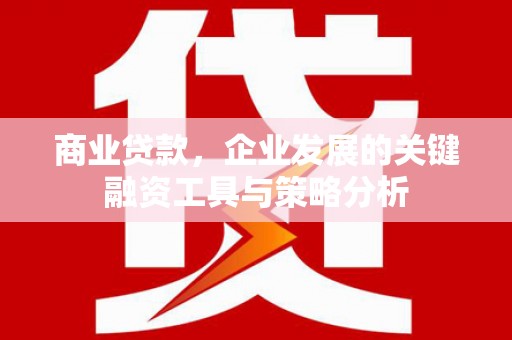 云南商业贷款，企业发展的关键融资工具与策略分析