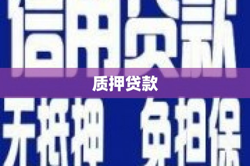 云南质押贷款