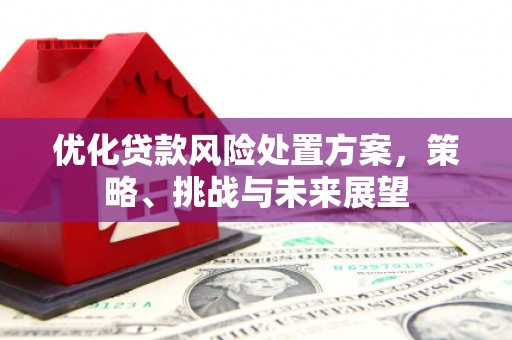 云南优化贷款风险处置方案，策略、挑战与未来展望
