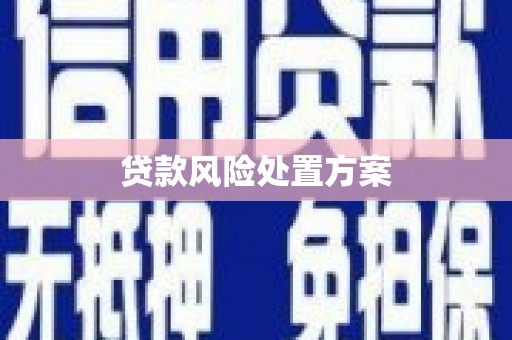 云南贷款风险处置方案