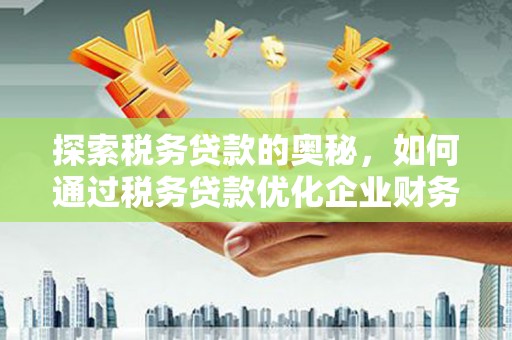 云南探索税务贷款的奥秘，如何通过税务贷款优化企业财务