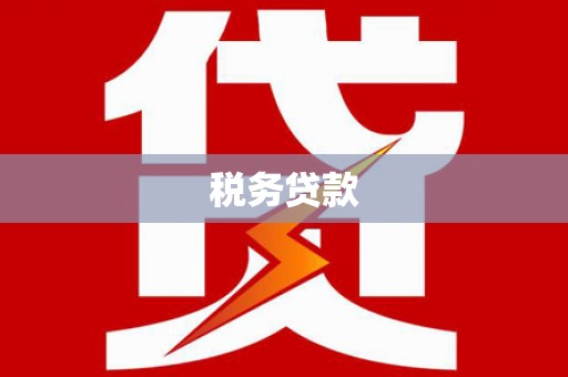 云南税务贷款