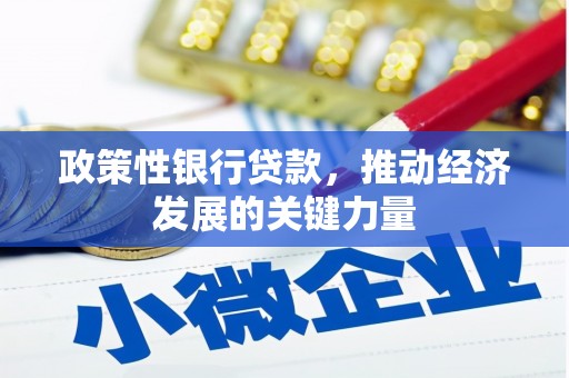 云南政策性银行贷款，推动经济发展的关键力量