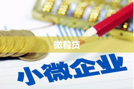 云南微粒贷