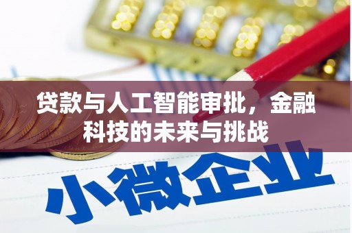 云南贷款与人工智能审批，金融科技的未来与挑战