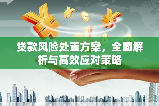 云南贷款风险处置方案，全面解析与高效应对策略