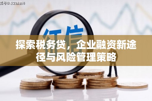 云南探索税务贷，企业融资新途径与风险管理策略