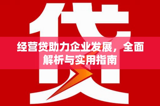 云南经营贷助力企业发展，全面解析与实用指南