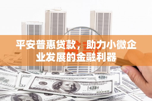 云南平安普惠贷款，助力小微企业发展的金融利器