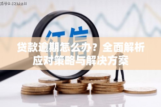 云南贷款逾期怎么办？全面解析应对策略与解决方案