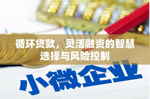 云南循环贷款，灵活融资的智慧选择与风险控制