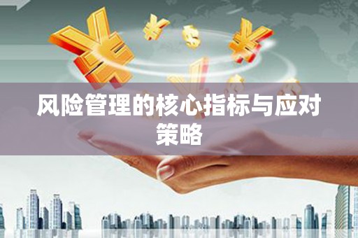 云南风险管理的核心指标与应对策略