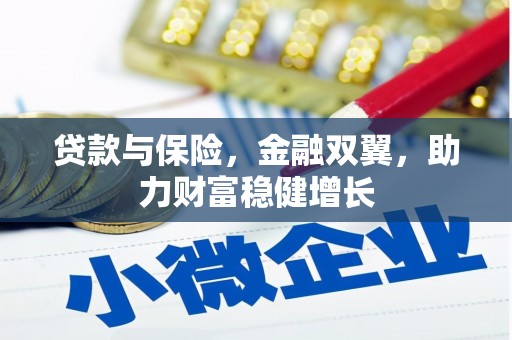 云南贷款与保险，金融双翼，助力财富稳健增长