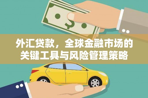 云南外汇贷款，全球金融市场的关键工具与风险管理策略