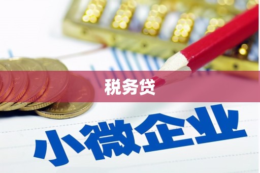 云南税务贷