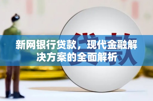 云南新网银行贷款，现代金融解决方案的全面解析