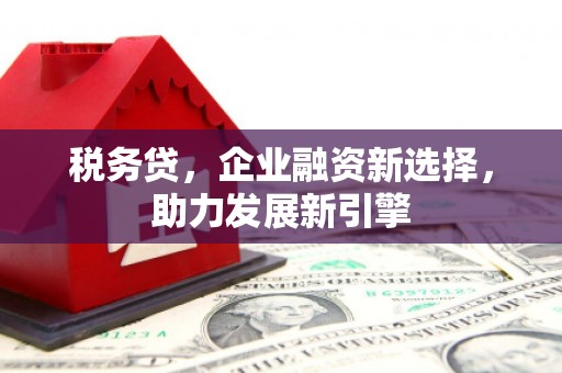 云南税务贷，企业融资新选择，助力发展新引擎