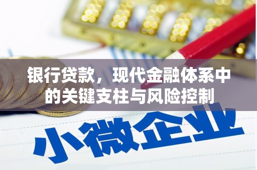 云南银行贷款，现代金融体系中的关键支柱与风险控制