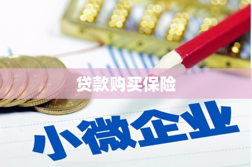 云南贷款购买保险