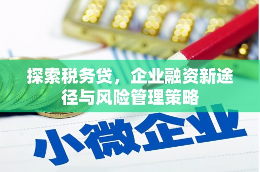 云南探索税务贷，企业融资新途径与风险管理策略