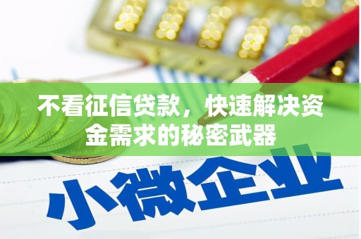 云南不看征信贷款，快速解决资金需求的秘密武器