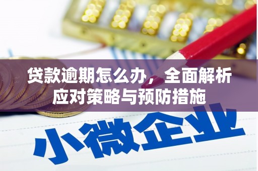 云南贷款逾期怎么办，全面解析应对策略与预防措施