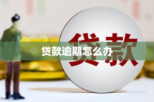 云南贷款逾期怎么办