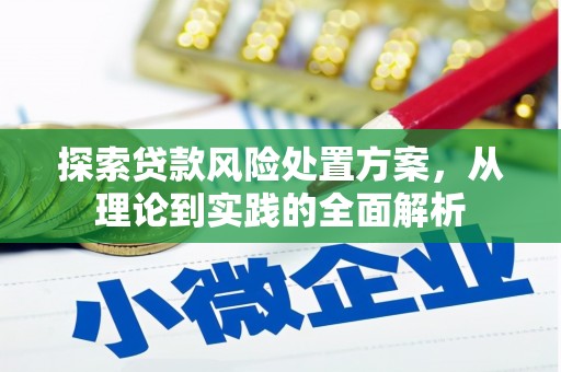 云南探索贷款风险处置方案，从理论到实践的全面解析