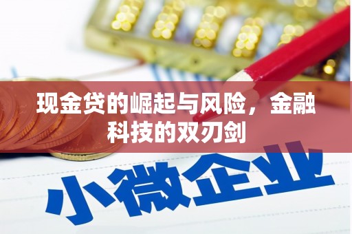 云南现金贷的崛起与风险，金融科技的双刃剑