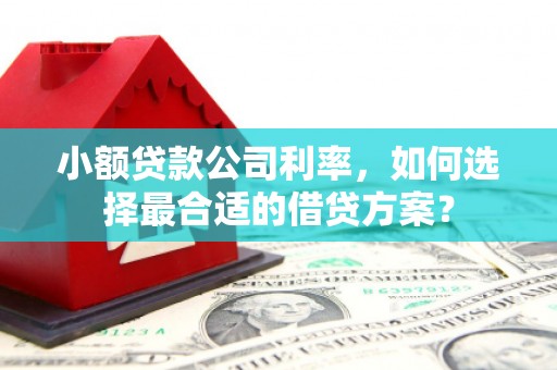 云南小额贷款公司利率，如何选择最合适的借贷方案？