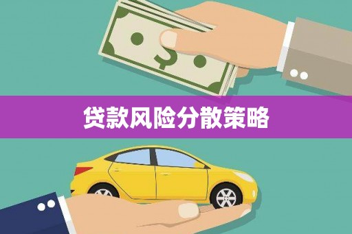 云南贷款风险分散策略
