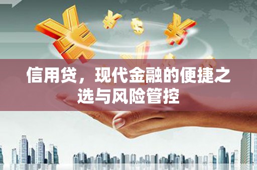 云南信用贷，现代金融的便捷之选与风险管控