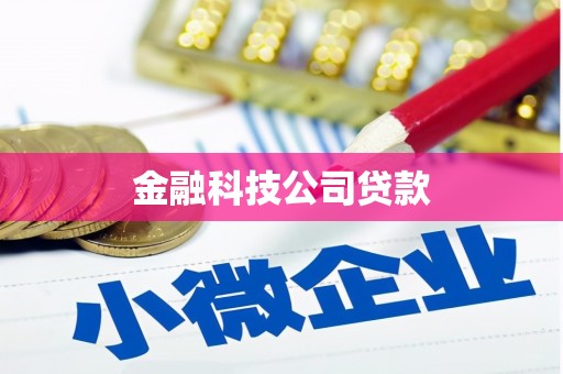 云南金融科技公司贷款