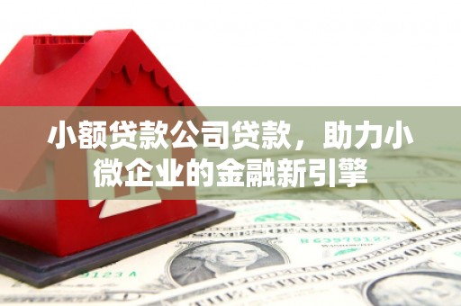 云南小额贷款公司贷款，助力小微企业的金融新引擎