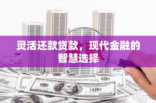 云南灵活还款贷款，现代金融的智慧选择