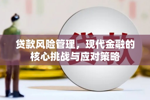 云南贷款风险管理，现代金融的核心挑战与应对策略