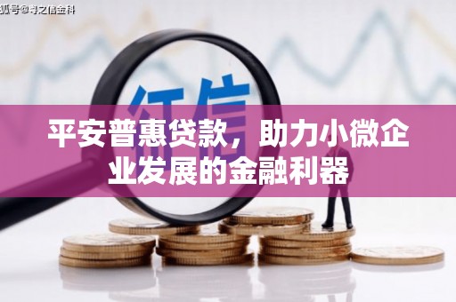 云南平安普惠贷款，助力小微企业发展的金融利器