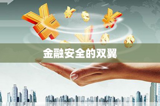 云南金融安全的双翼