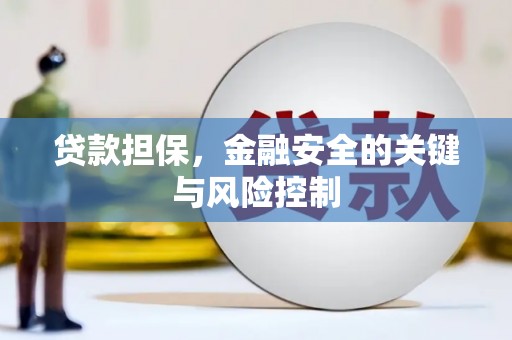 云南贷款担保，金融安全的关键与风险控制