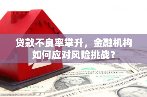云南贷款不良率攀升，金融机构如何应对风险挑战？