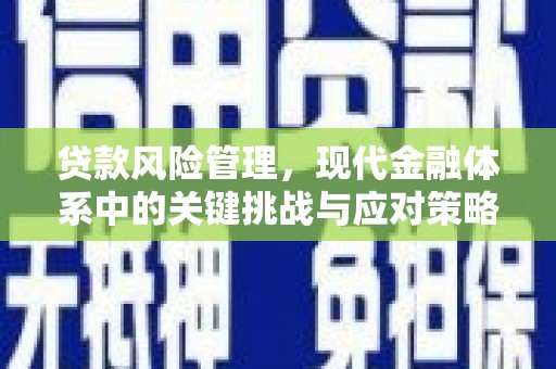 云南贷款风险管理，现代金融体系中的关键挑战与应对策略