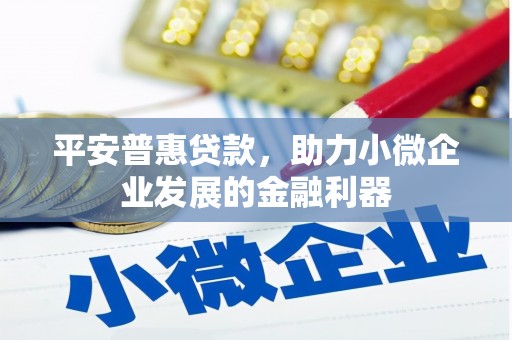云南平安普惠贷款，助力小微企业发展的金融利器