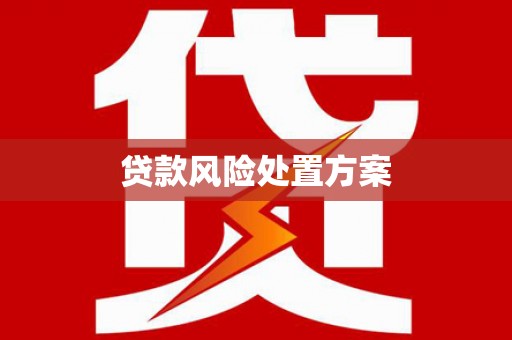 云南贷款风险处置方案