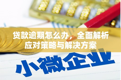 云南贷款逾期怎么办，全面解析应对策略与解决方案