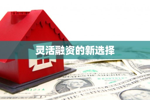 云南灵活融资的新选择